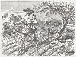 The sower