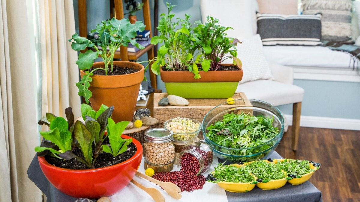 indoor winter garden